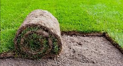 Proyecto de jardinería