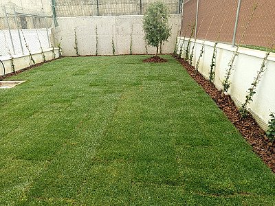 Proyecto de jardinería