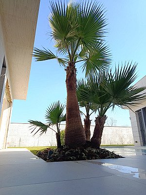 Proyecto de jardinería