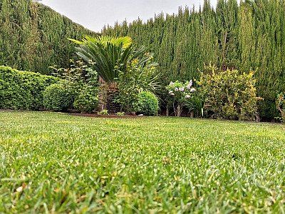 Proyecto de jardinería