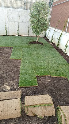 Instalación de césped natural en Aranjuez ciudad de las artes